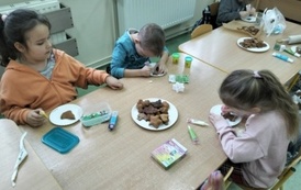 Zer&oacute;wka w zapachu pierniczk&oacute;w 14