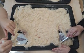 Dzień Dinozaura w Zajączkach (3)