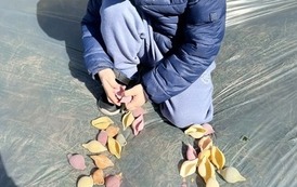Wielkanocno-wiosenna sensoryka (30)