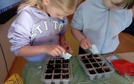 spotkanie z dietetykiem (11)