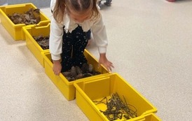 Jesienna sensoryka- Punkt Przedszkolny (8)
