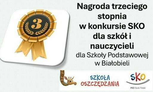 Zdjęcie do Nagroda SKO w etapie regionalnym