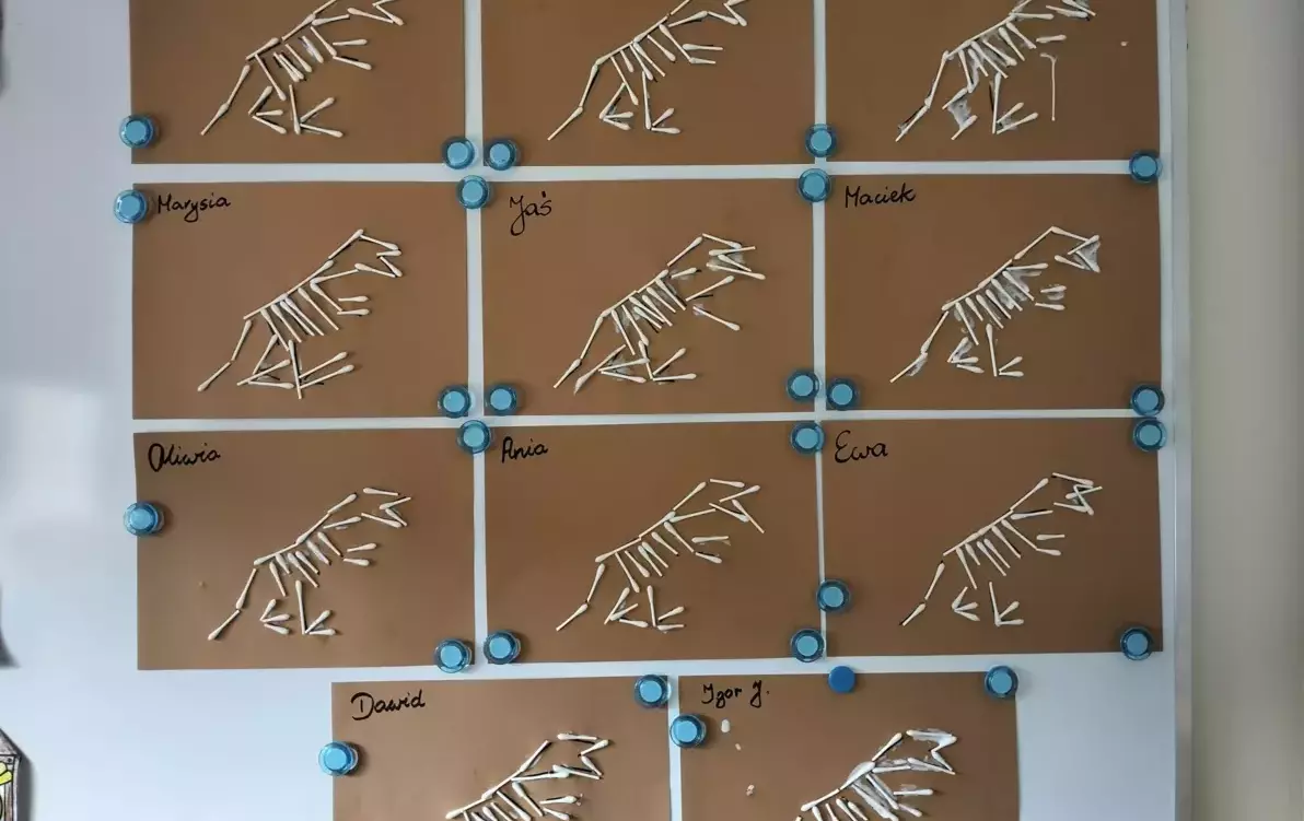 Zdjęcie do Dzień Dinozaura w zer&oacute;wce 