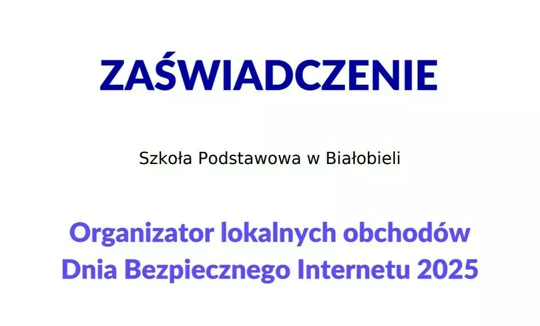 Zdjęcie do DZIEŃ BEZPIECZNEGO INTERNETU 2025