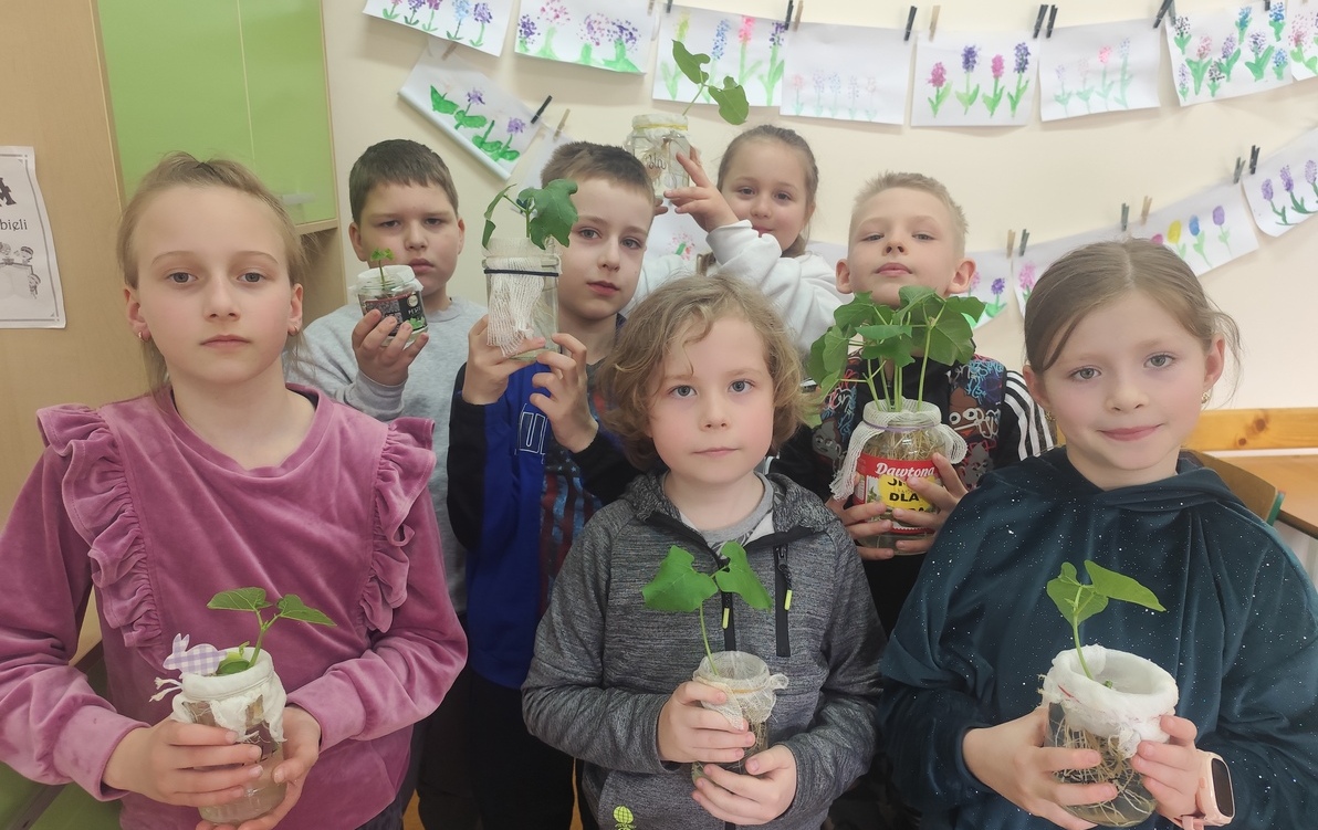 Zdjęcie do Mały ogr&oacute;d w klasie 2 &ndash; hodowla fasoli