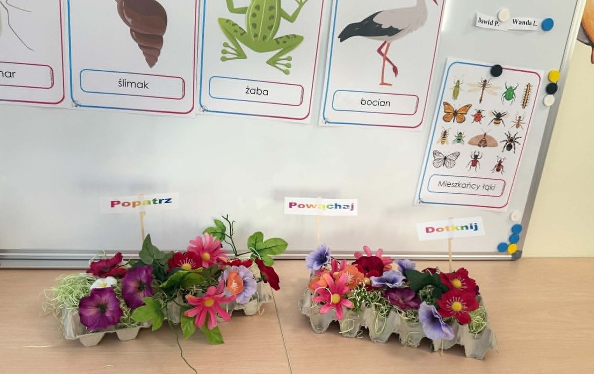 Zdjęcie do Edukacyjne Zabawy