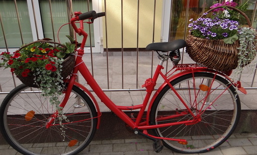 Zdjęcie do Artystyczny kwietnik ze starego roweru