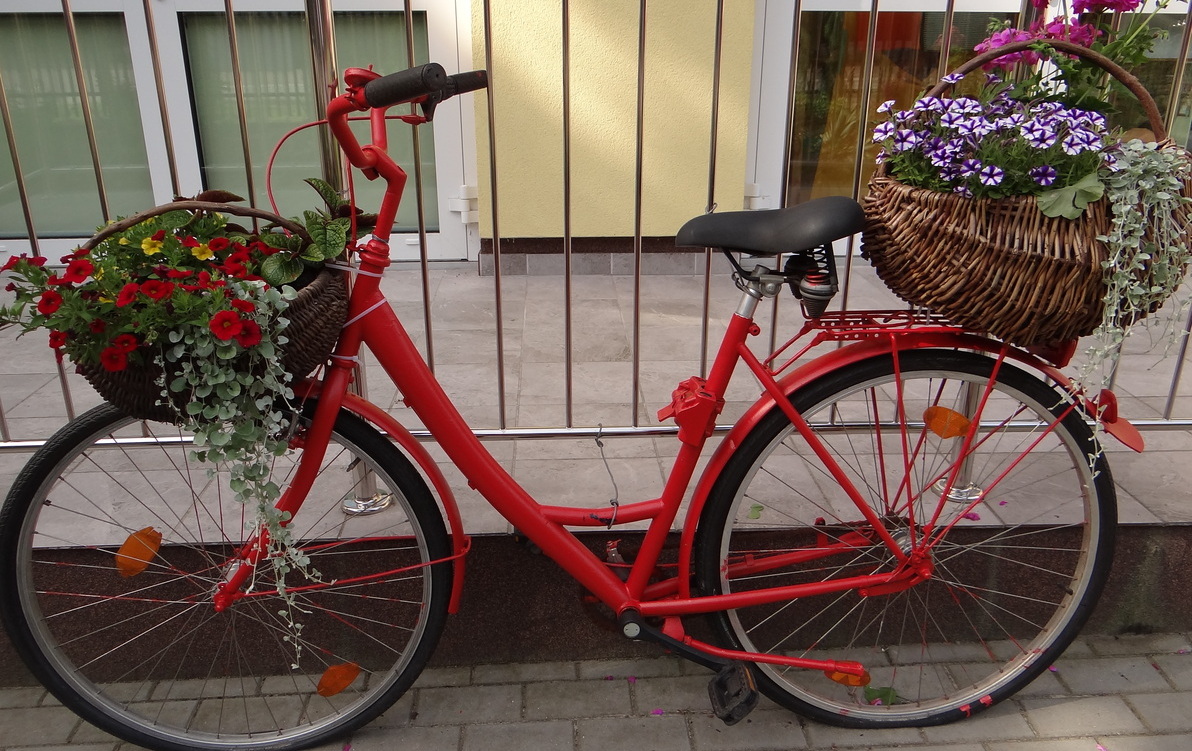 Zdjęcie do Artystyczny kwietnik ze starego roweru
